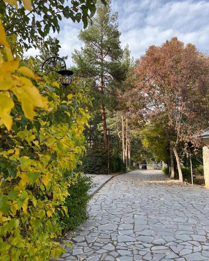 Ripa Hotel Tsaghkadzor Exterior photo